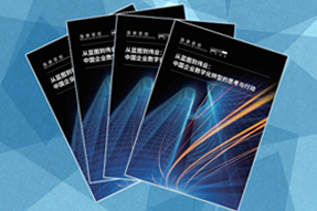 《从蓝图到伟业：中国企业数字化转型的思考与行动》