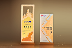 4008云顶国际 国际一举斩获“2024年度中国区最佳雇主”等多项大奖
